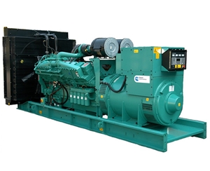 康明斯動力發電機組